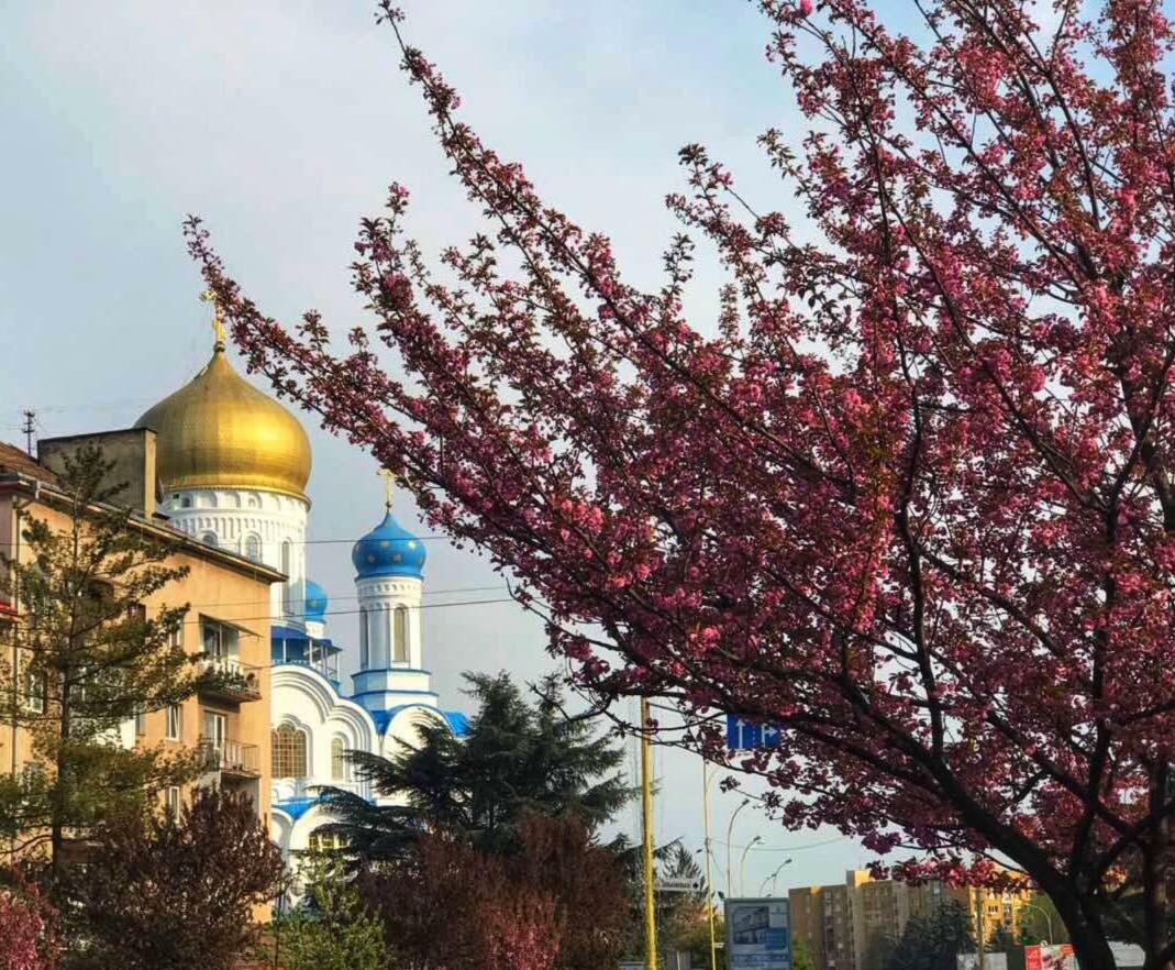 Арт Квартира В Центрі Міста Uzhhorod Bagian luar foto