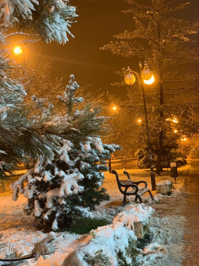 Арт Квартира В Центрі Міста Uzhhorod Bagian luar foto